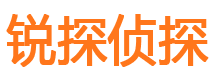 昭平市调查公司